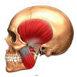 Temperomandibular Joint Syndrome